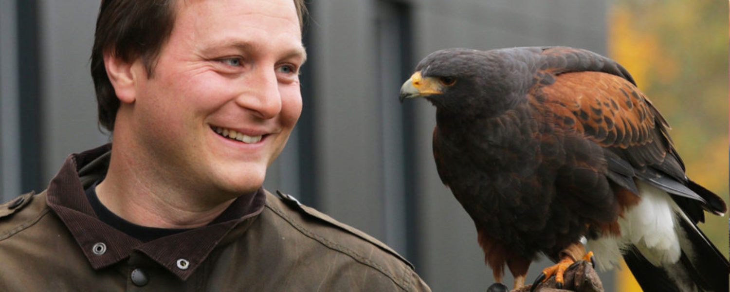 harris-hawk-guy-banner-sized